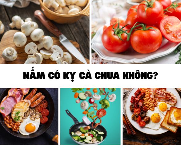 Nấm có kỵ cà chua không